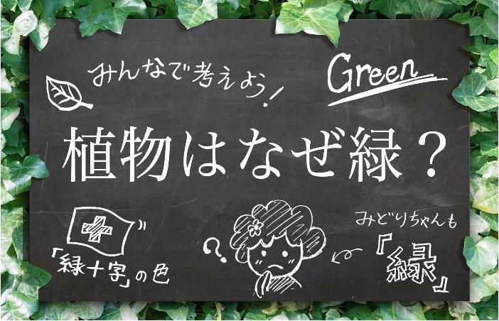 20190326_eco-green.jpg