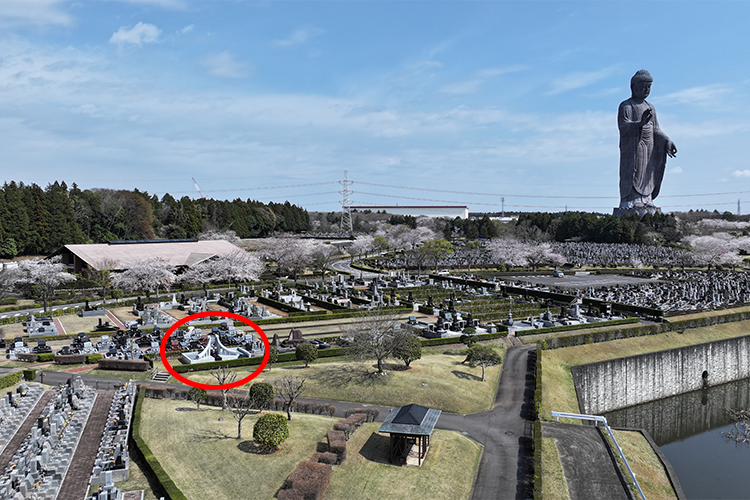 20250428_ushikuirei_11.png