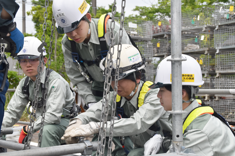 20250523-sugiko-up02.png
