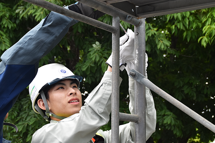 20250523-sugiko-up04.png