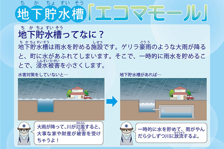 20260528_ecomamoru_40.jpg