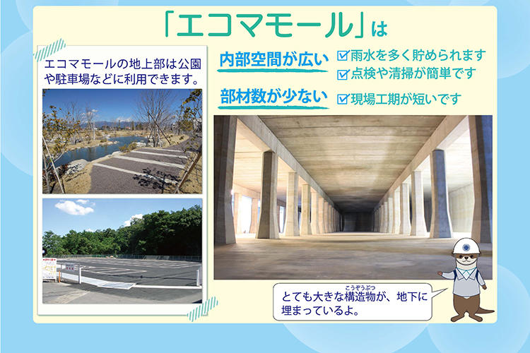 20260528_ecomamoru_41.jpg