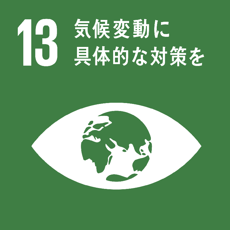 sdg_icon_13_ja_W750.png